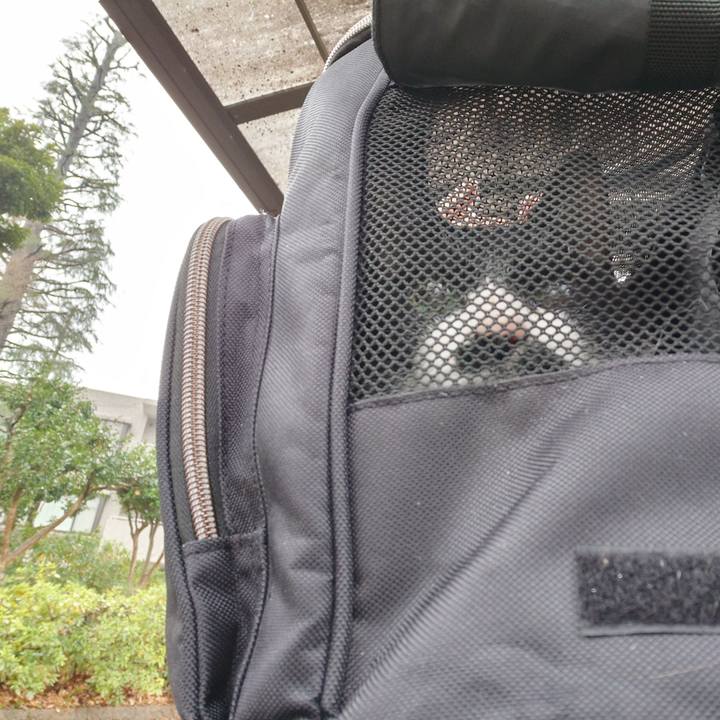 E544c05f 9bd4 4bcb 95da 462d88b18220 1771978422385