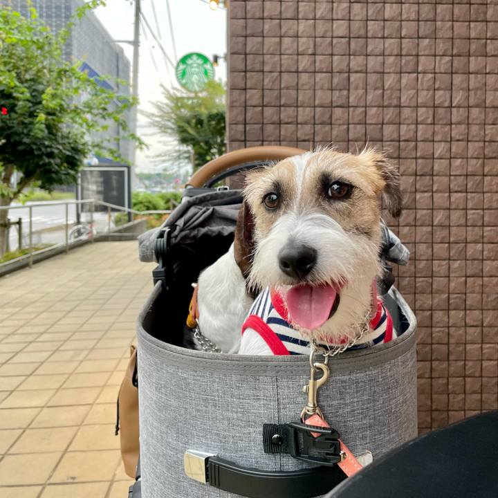 E544f9da a1a8 49bc a21e 0d6837c11a80 1625573213221