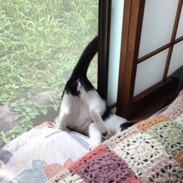 E5454002 0ee0 4d82 99b5 08a5c6842a24 1630820536692