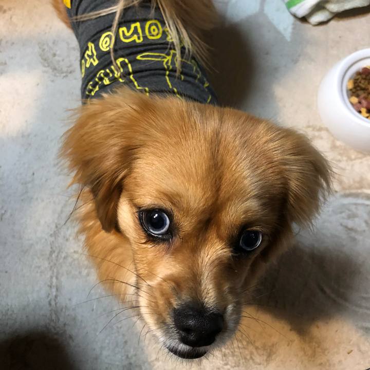 E5455ea5 e16b 4b6f aa54 32aa95fa6bee 1519595921312