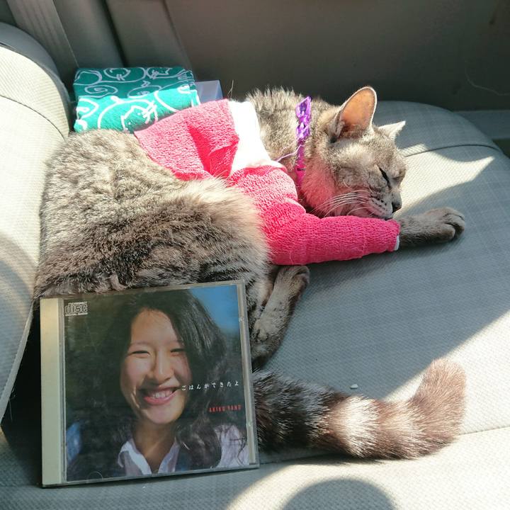 E5455ee7 1f61 4610 866a 374854e756c3 1586671303291