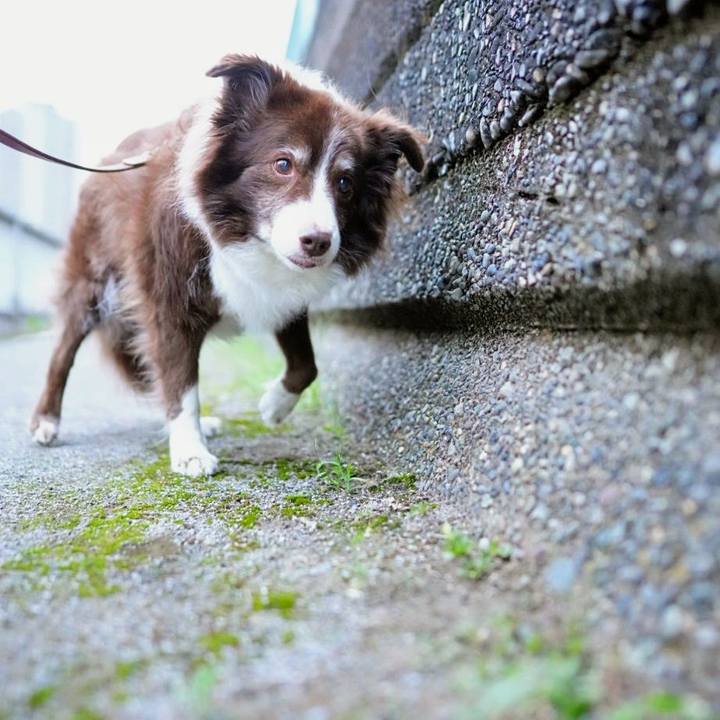 E54582c5 a817 4f59 bd29 6e64738840be 1760951171623