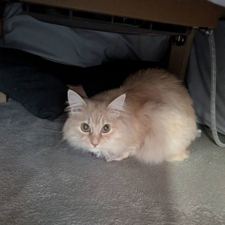 E5458f5e b11d 4090 be4e 13df06c5a67e 1770594867087