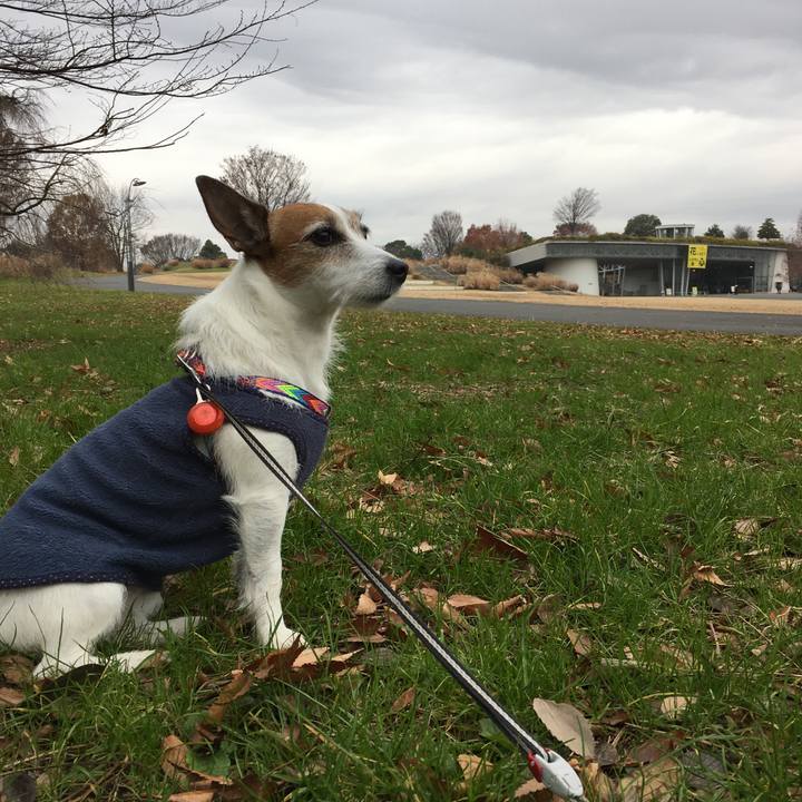 E545d498 2e59 47b7 9591 2a8e151386fd 1576981947548