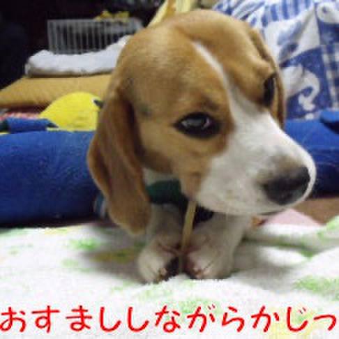 E54616e4 2d24 4cdf 8ca8 8955e9476bfa 1717080418418