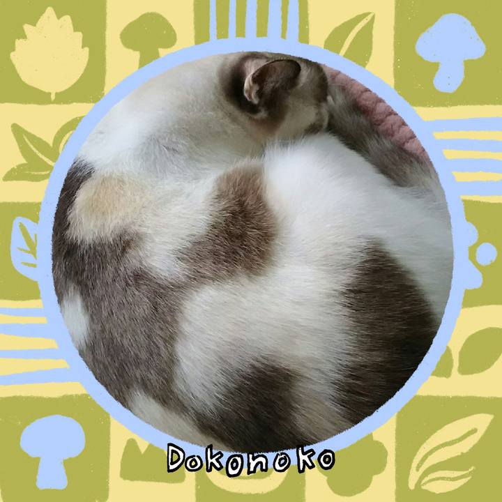 E5463003 576c 4ac6 bf19 edb12d0bc5ad 1761378542467