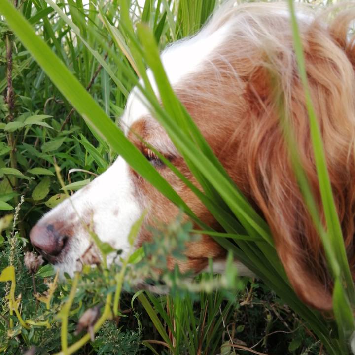 E5463b23 a27f 4ca2 ab7f 7a75bf4bea3f 1632139101691