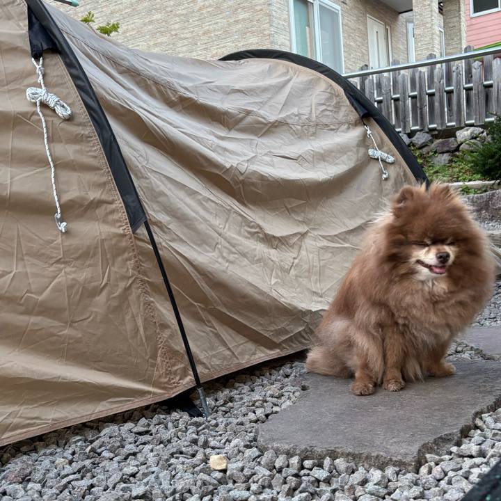 E54679c8 5975 4c44 9a09 8ee899bb7e04 1754818532258