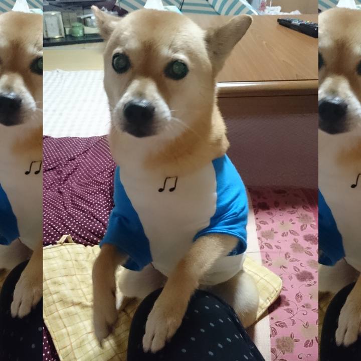 E5467f24 9dec 4824 904b a8f133684faf 1603005354517