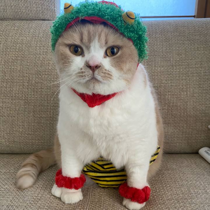 E546a911 e6a4 4b4c a88e dcece880d0ed 1675412599275