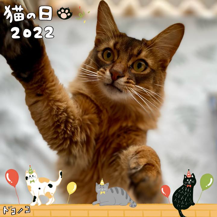 E546c151 5498 40d9 9f9f 07a6cb942361 1645500863621