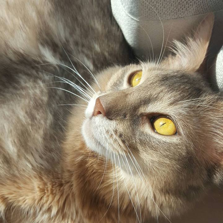 E546c9d2 3cb4 494d 9984 84978ef067a2 1551501684080