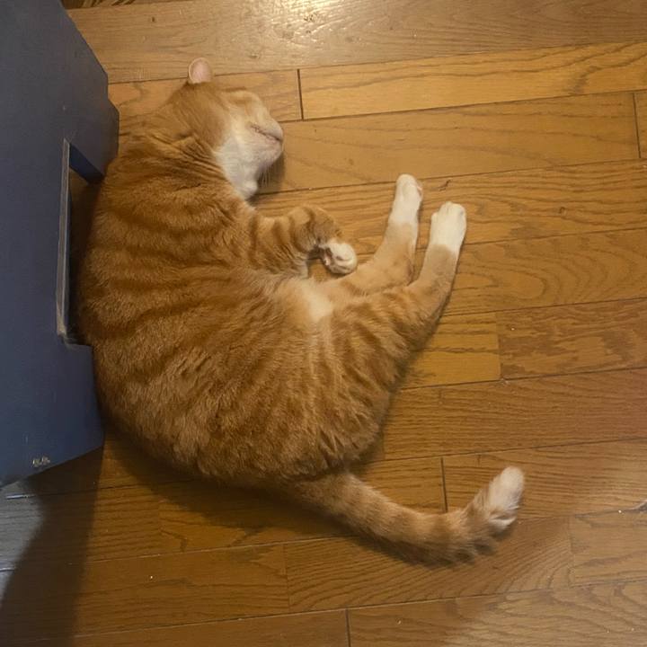 E547177b 798d 4e9c b919 2e07bf858de3 1723984744311