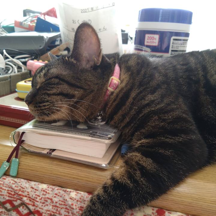 E547206b a1c9 4c10 ab31 65b78ac8a23f 1764462746225