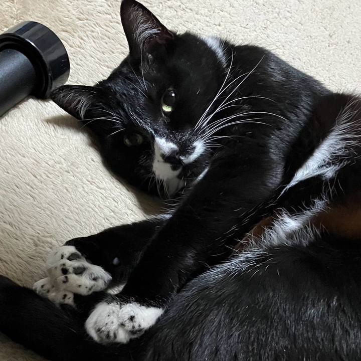 E547332a 60f4 4499 a89a b6a9f0b139fa 1713930093766