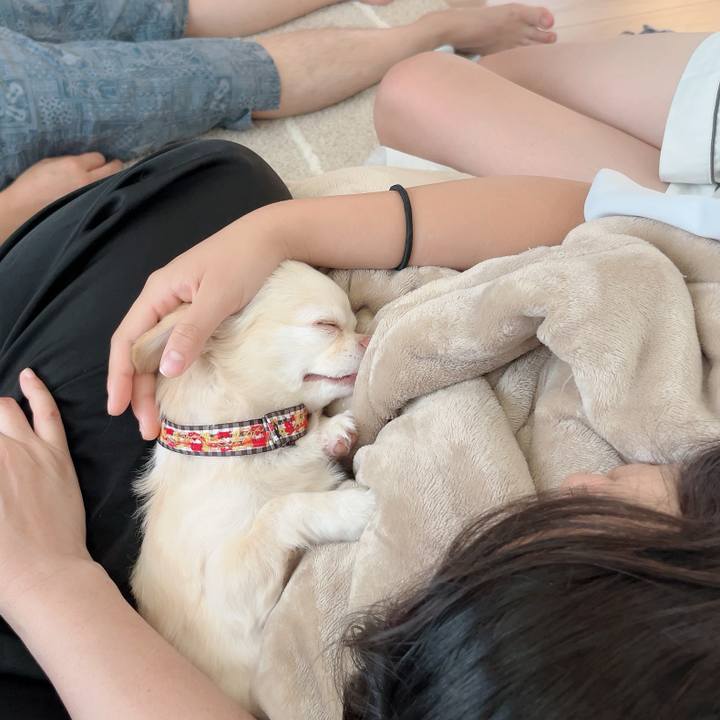 E54740ec 553f 4c32 8196 2f66809bbc50 1723943218332