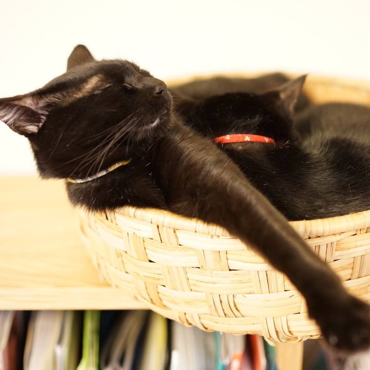 E5475b0b 05d8 44ab 9a33 0e39b85ee8fa 1547907313711