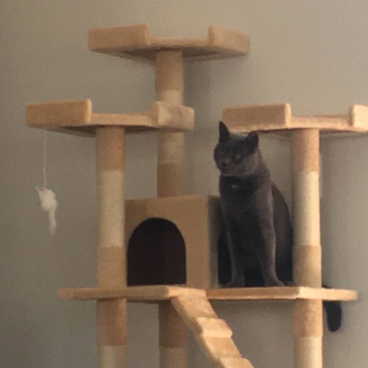 E54787b7 213d 4929 a07e fda340735409 1694227341572