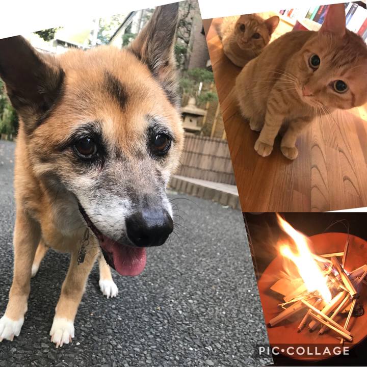 E547b087 6784 4237 8db7 e18875292eb2 1597487401744