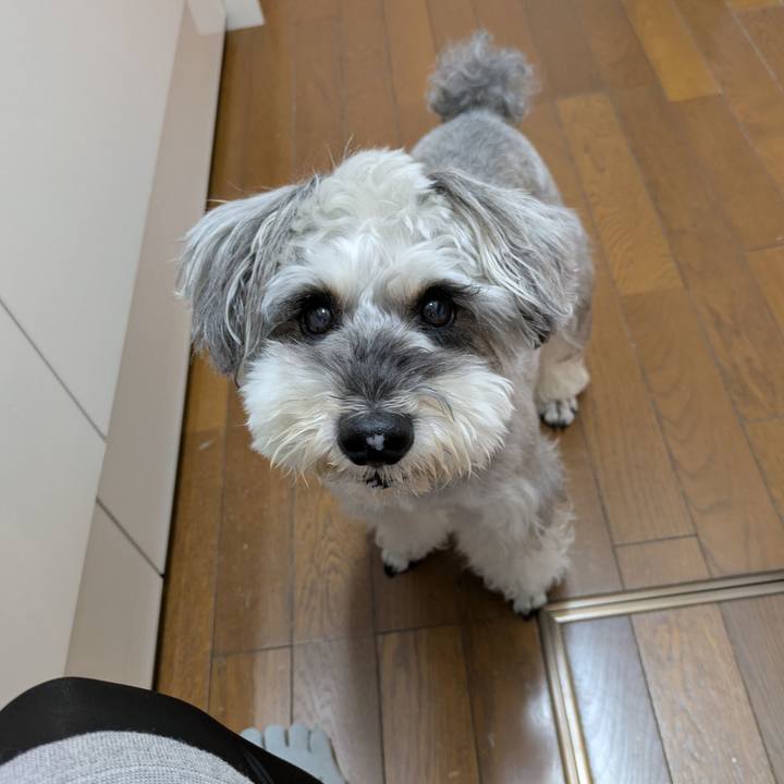 E547b926 d48b 4cf8 959f 0fe8507810f9 1757892756491