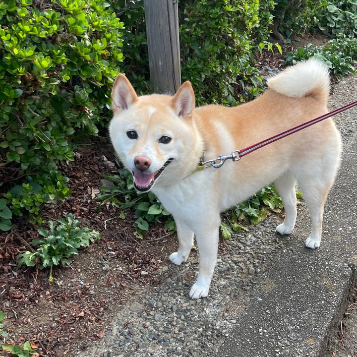 E5482b03 d4d7 4b62 a606 9ae3c3274c08 1660169931434