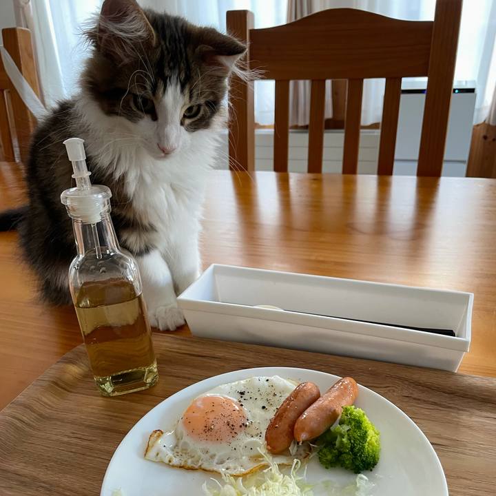 E5484a33 1ca6 4320 98e3 1f144d36feb9 1633820774677