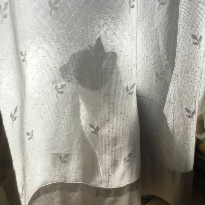 E5485735 c069 4a96 b08f 39fd5e00e681 1518849131304