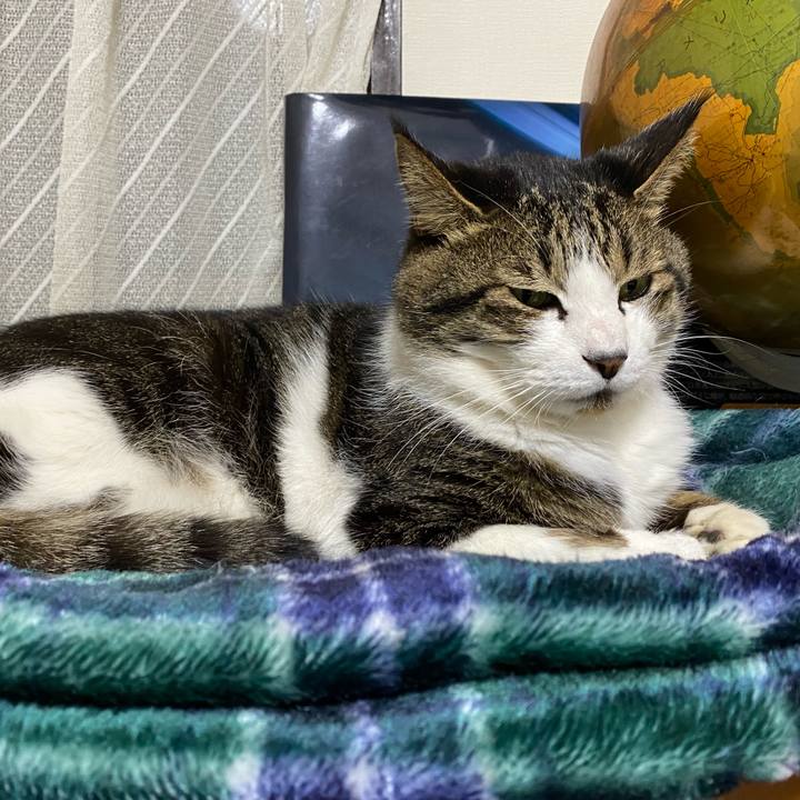 E5485e42 2113 4e49 a331 f9f1eb4e452f 1636383810010