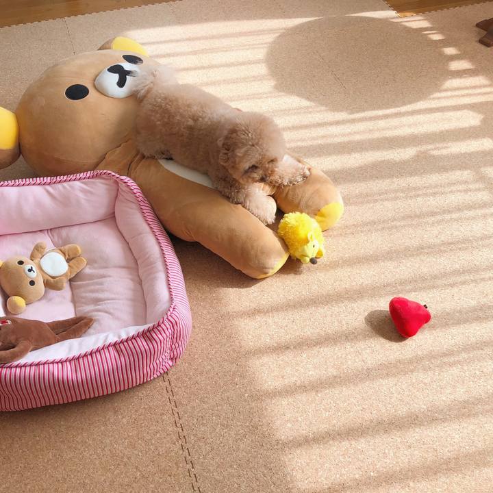 E5487a31 e50b 4e72 b6a8 1a86004525ab 1510201532015