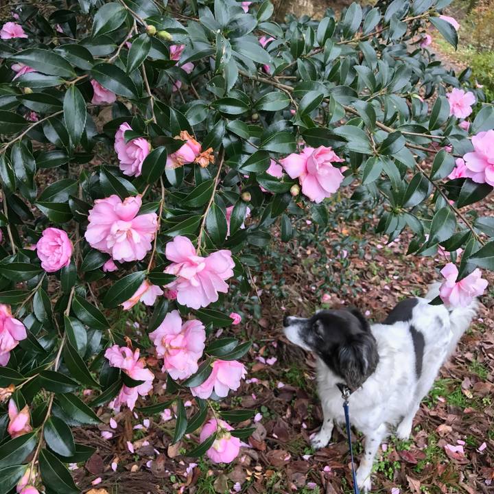 E54897e1 b543 4f7e b78d 52cdbbdeade8 1510884908956