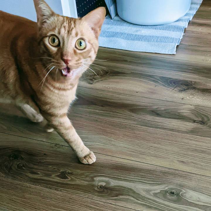 E548ac99 e406 4a0a 8fcb 3a816c88ee2d 1644878913027