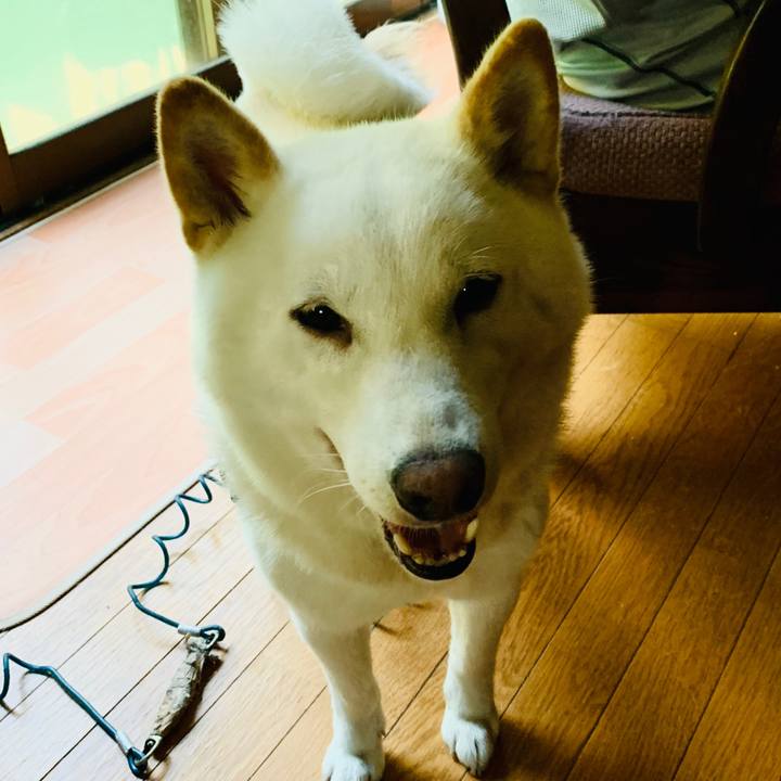 E548af9c 37cf 4996 bdfe aab38a7ce895 1597180788461