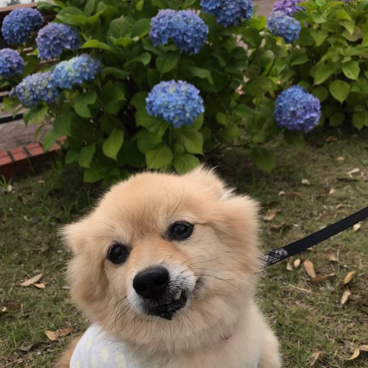 E5490d66 5bfd 4882 ae34 9c9ee8ce2d76 1591491245224