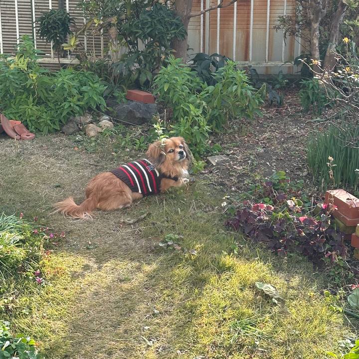 E5490fc1 af8b 48dc b157 a63c424e7c11 1735347270631