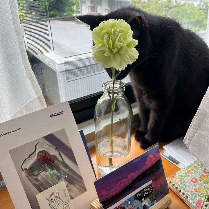 E549398c 4edb 4bb5 bf28 dbe131a0e758 1688602158641