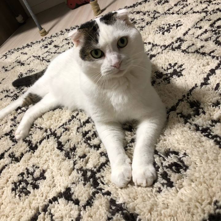 E5493c80 4abd 453e 85e1 7b57f4c128c7 1565233887286