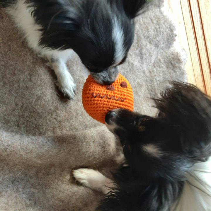 E549505b 6305 4aff a64e 96125bfbd78a 1509401759902