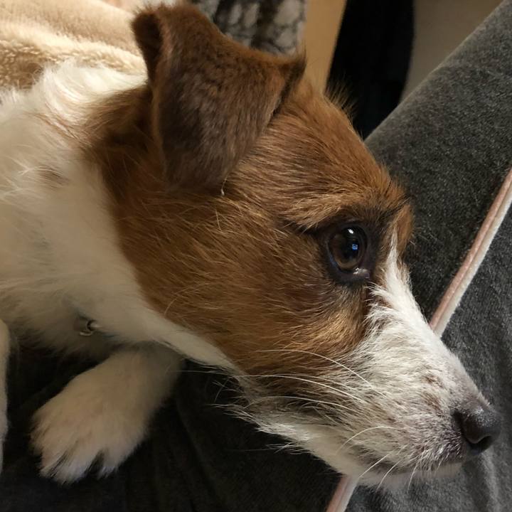 E5499404 d33b 4b9a 99f9 ad02ac31a07e 1521626946581