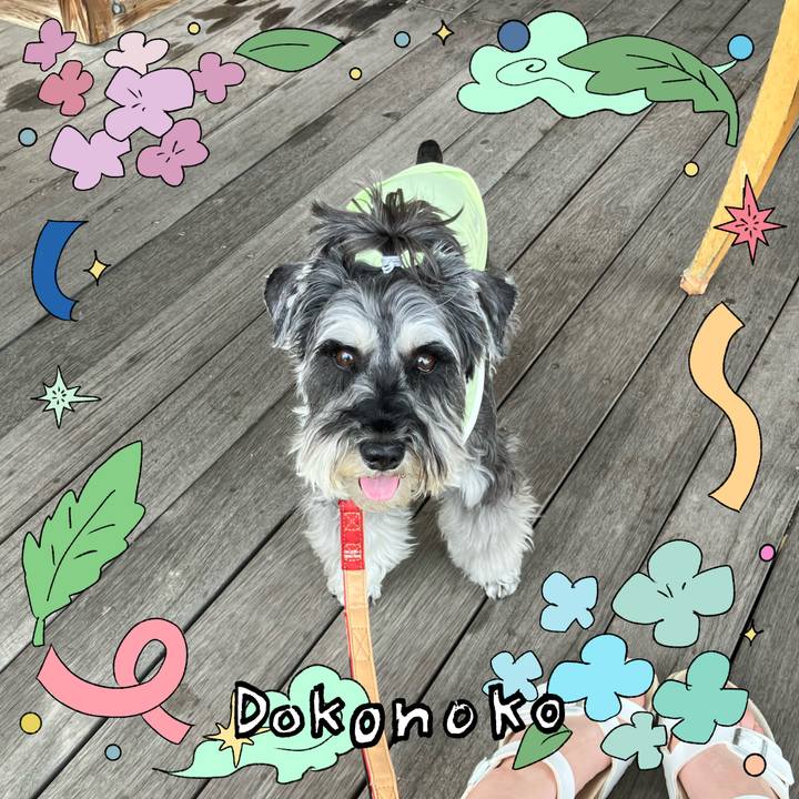 E549bb8c 9807 405e a915 d8ec9f1e58b7 1718454482273