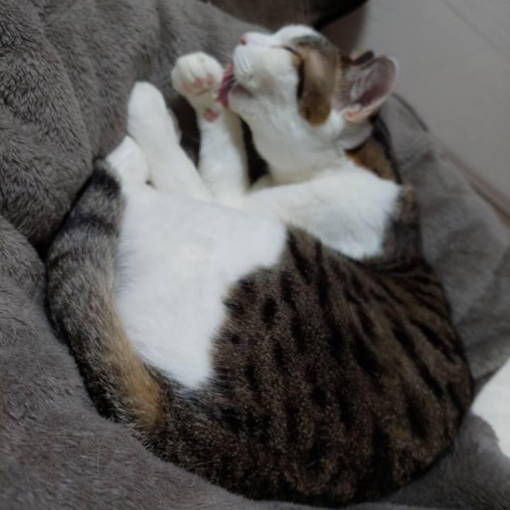 E549cf12 ffcc 46cb a291 af9aefaa9b98 1647778986815