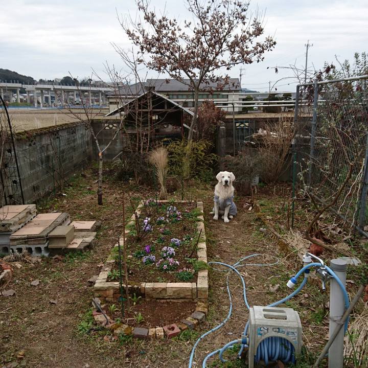 E549dbd5 f9f4 440f b4fc ef69e3ab39c6 1515641801538