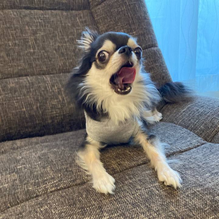 E549e366 180d 4f21 b587 eabaed64d8b1 1708858203572