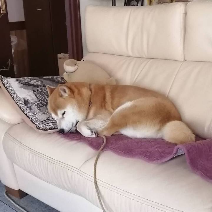 E549ee37 9a6d 405b bed2 28c9b2647b86 1589259061478