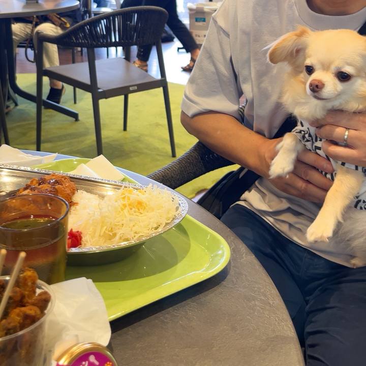 E54a0dc3 f723 4b96 9f5a 97bdb1a428e0 1754898311394