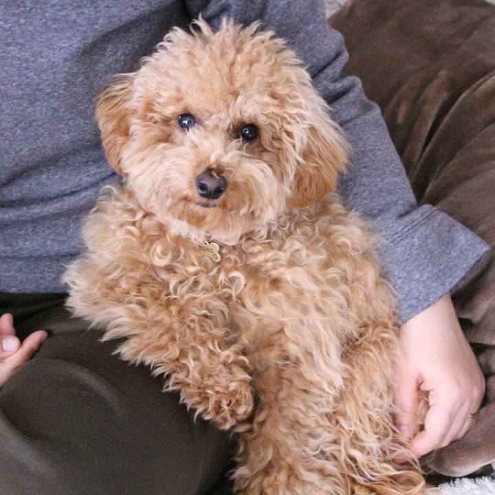 E54a2671 8343 49a5 b5b2 9f4fd54ee890 1511954276856