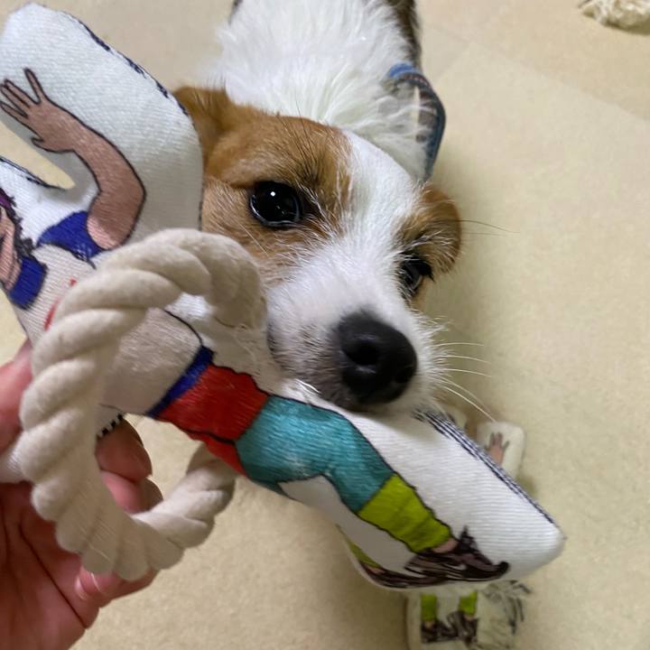 E54a9410 deab 451d 86b9 83efb42cdd2f 1626960876131