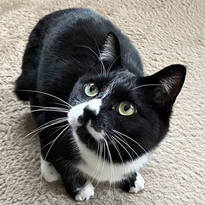 E54ad52a 6994 4a7b a352 0de9b5cb98e3 1711511028868