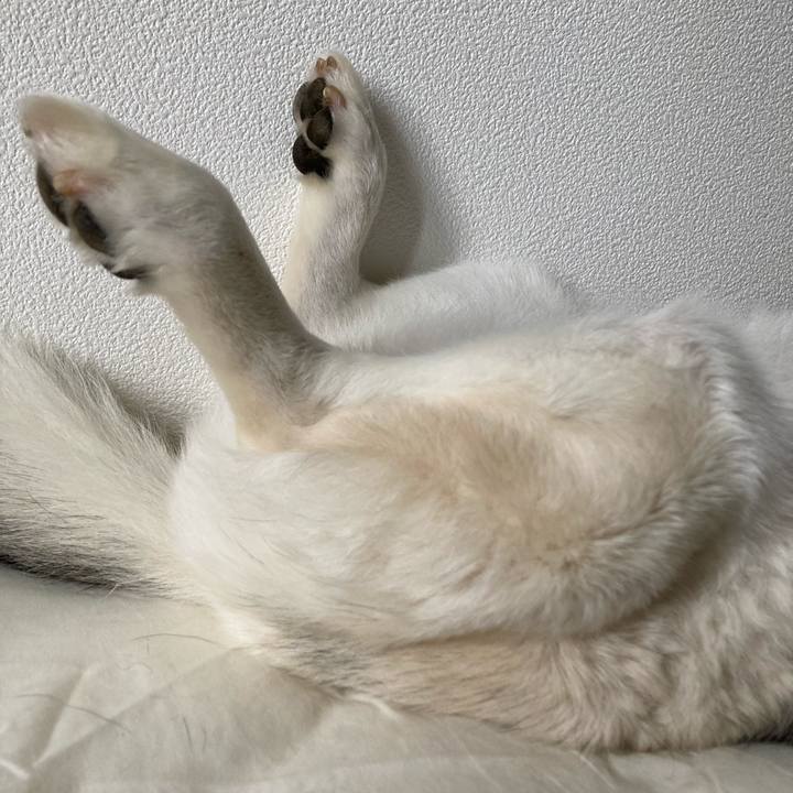 E54aeee4 f9c2 4370 9102 d201e3504545 1630459953144