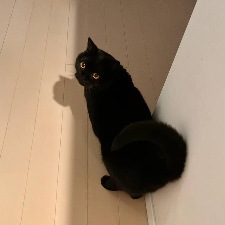 E54af0b8 d498 4e1b 9b22 b4033adc482d 1676375354171