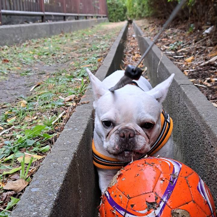 E54b07d5 89c1 424e 975e b8827a996174 1702710737130